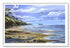 white wood framed seagulls and shells original painting wall art print